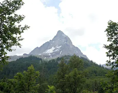 Trust Wallet Stands Up Against Crypto Scams