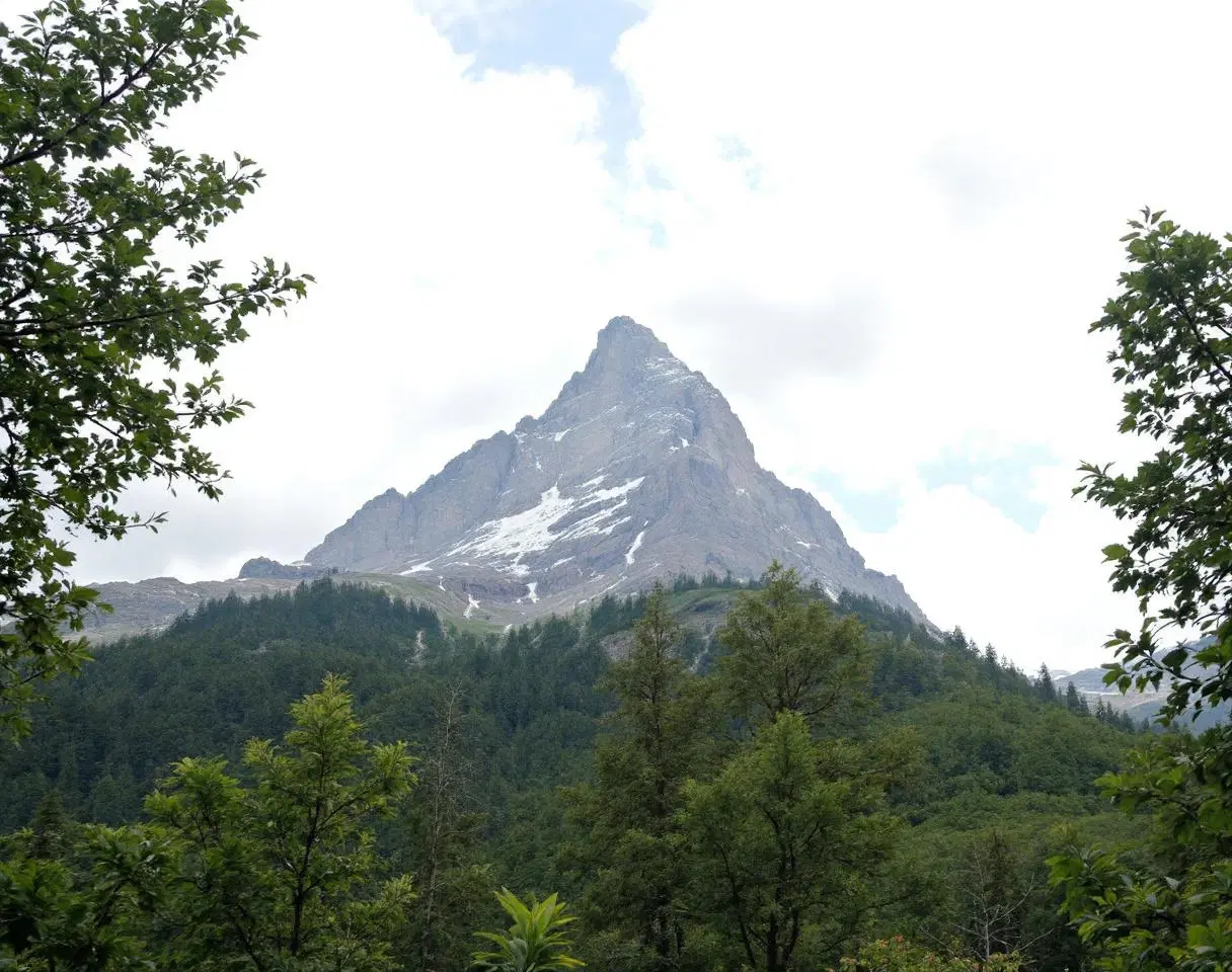 Trust Wallet Stands Up Against Crypto Scams