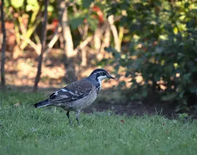 Blockchain's Institutional Awakening and the Future of Finance